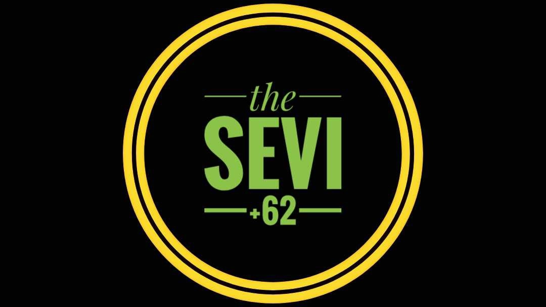 thesevi.9df logo