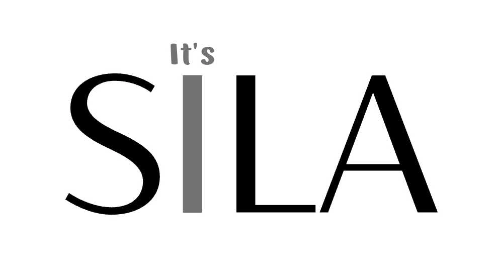 its.silai.11c logo