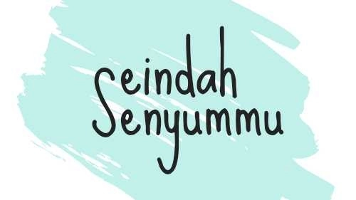 seindah.se.4a8 logo