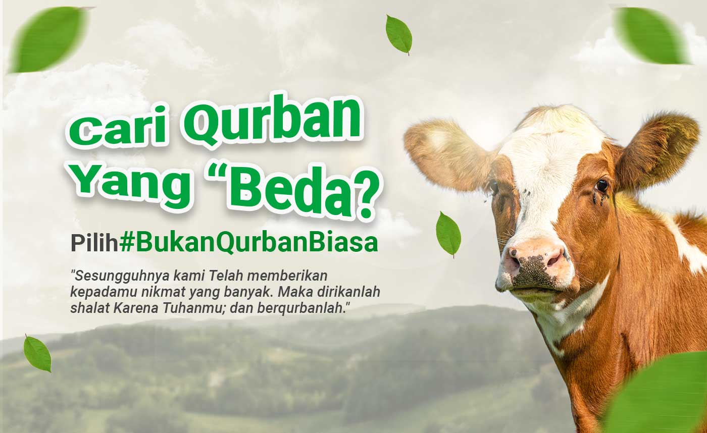 Qurban ost lyrics