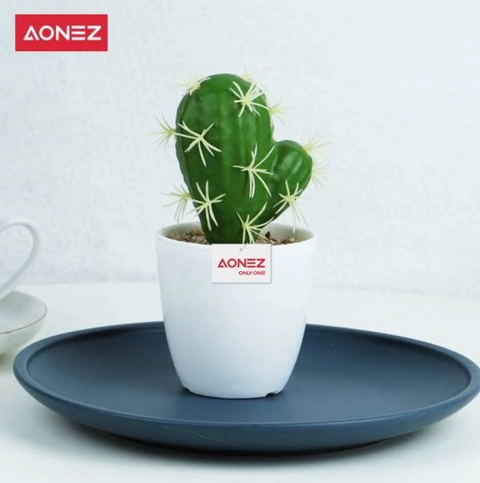 AONEZ small two-headed cactus