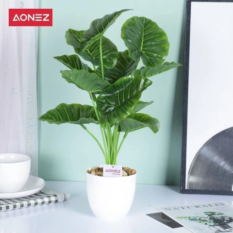 [Free Lampu Hias Bulan] AONEZ 12 head turtle leaf pot green 1 kg putih hijau