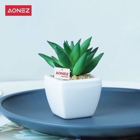 Aonez Mini White Square Pots Succulent Bonsai Laughing Lotus Green