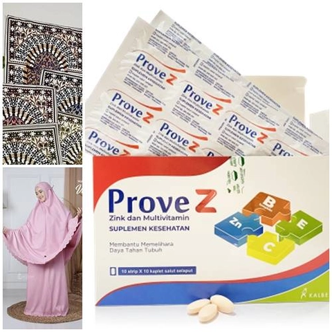 Evermos Paket DS 3