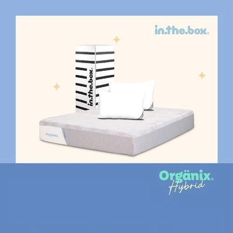 Inthebox - Kasur Latex Organix Hybrid Free Bantal & Mattress Protector F388OH-2P1B-160NTR