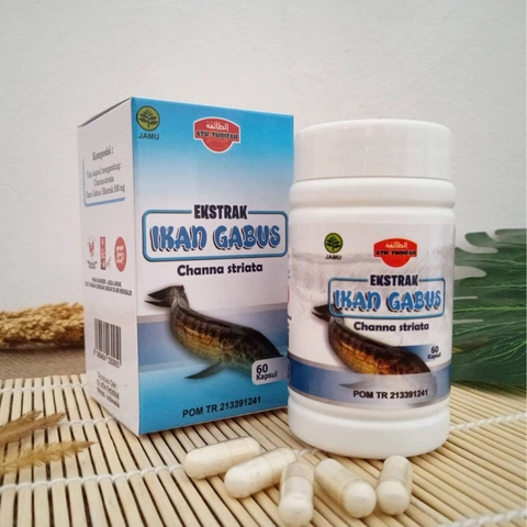 Ekstrak Ikan Gabus Daya Tahan Tubuh