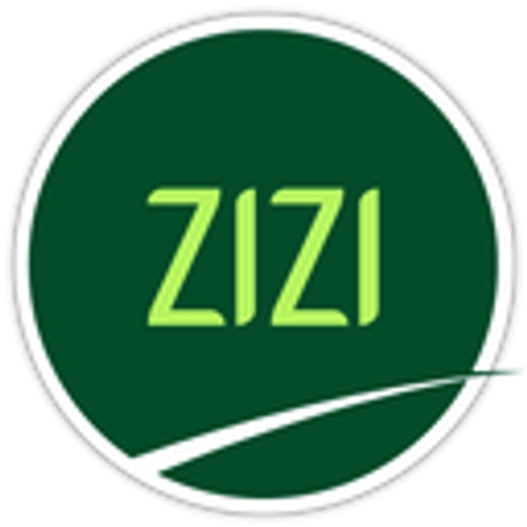 ZIZI logo