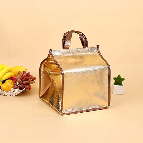 RUMAH RAYA - Tas Pendingin Makanan Portable Cooler Bag Box Thermal Insulated Bag - LAIY07