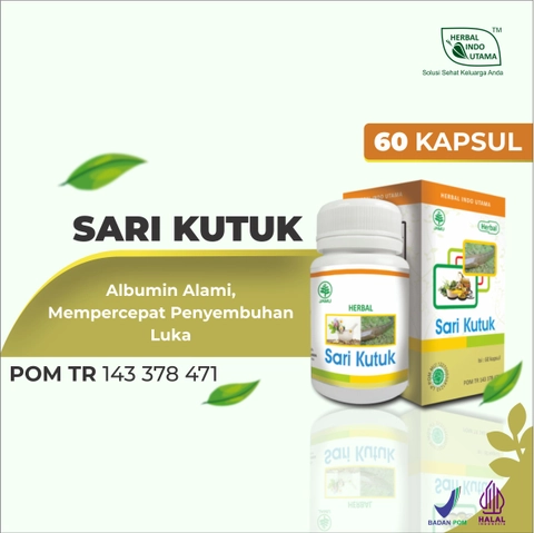 Herbal Indo Utama - Kapsul Sari Kutuk Albumin Alami Obat Luka Operasi Luka Jahit Luka Susah Kering