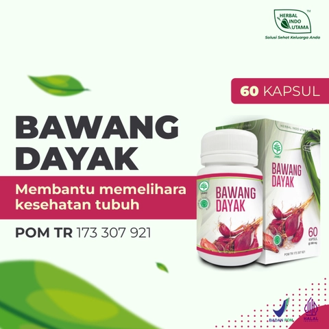 Herbal Indo Utama - Kapsul Bawang Dayak Obat Diabetes Hipertensi Kolesterol Herbal Indo Utama