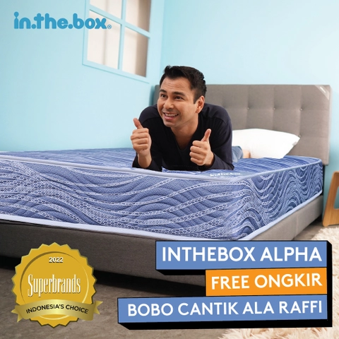 Inthebox - Inthebox Alpha Free Bantal 1 Pcs F388AL-MT1P-120NTR