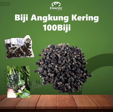 Eleanor Farm Shop - Benih Angkung Kering Isi 100 Butir Benih Biji Buah Angkung