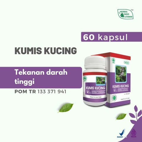 Herbal Indo Utama - Kapsul Kumis Kucing Obat Tekanan Darah Tinggi Hipertensi 60 Kapsul