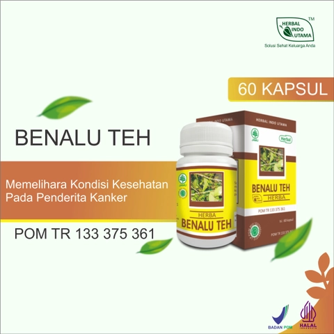 Herbal Indo Utama - Herba BENALU TEH Obat Herbal Kanker Herbal Indo Utama isi 60 Kaps