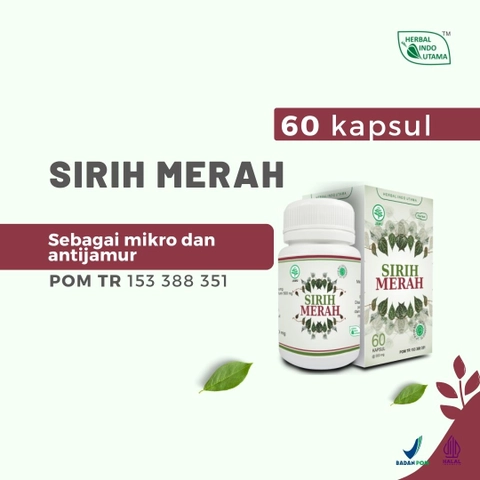 Herbal Indo Utama - Kapsul SIRIH MERAH Obat Radang Sendi Prostat Liver 60 Kapsul