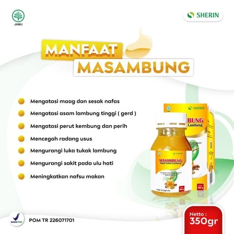 CV. Ayu Group - MASAMBUNG Madu Sehat Lambung