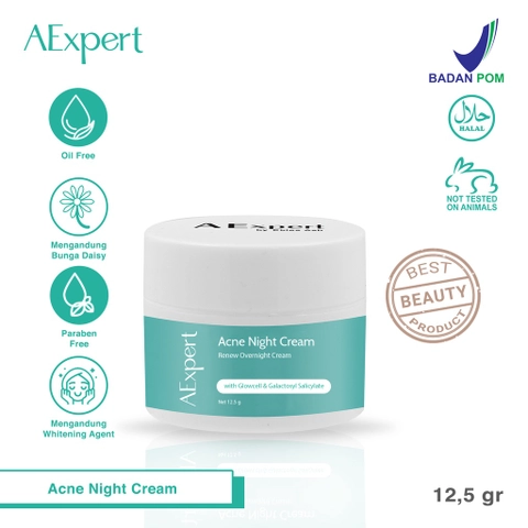 Dr Ekles Skincare - Skincare AExpert Series Acne Night Cream