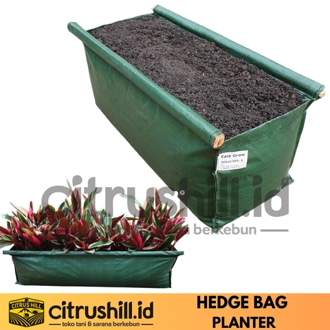 Citrushill ID - Pot Persegi Panjang Hedge Bag