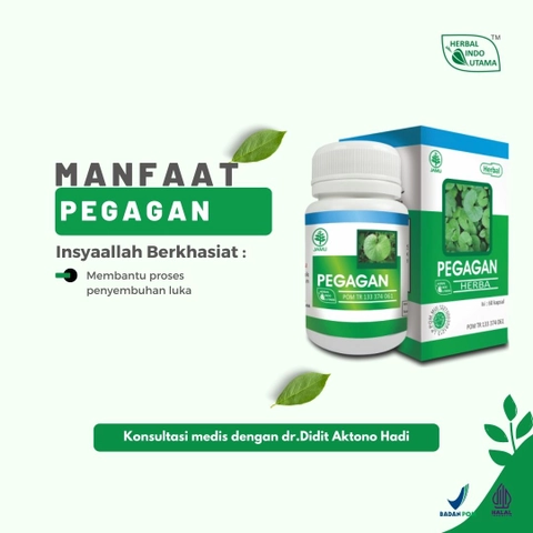Herbal Indo Utama - PEGAGAN Melancarkan Peredaran Darah 60 Kaps