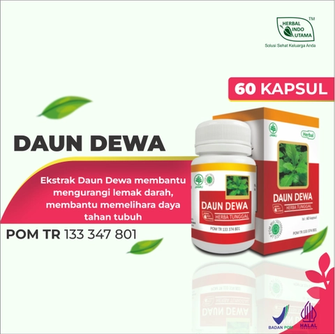 Herbal Indo Utama - Kapsul Daun Dewa Obat TB Paru Tumor Kanker Atasi Darah Tinggi isi 60 Kaps