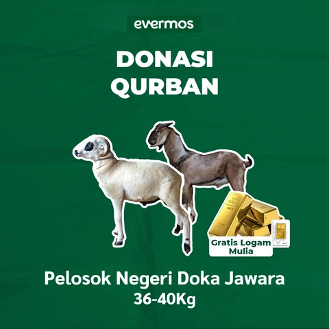 Qurban Evermos Jabodetabek-Jabar - Pelosok Negeri Doka Jawara 36-40 Kg