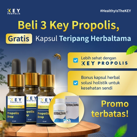 KEY Propolis Official - [Free Gift Kapsul Teripang] Bundle 3pcs Propolis Key drop