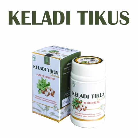 KELADI TIKUS Kapsul Obat Kanker Herbal Benjolan Kista Miom Tiroid Pereda Nyeri Binasyifa Herbal
