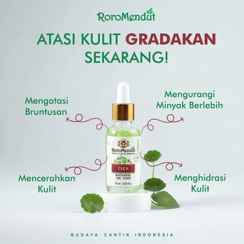 Roro Mendut Skincare - Serum Centella Asiatica Niacinamid Zinc Serum Anti Jerawat