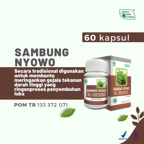 Herbal Indo Utama - Sambung Nyowo Herbal Indo Utama Obat Kolesterol isi 60 Kaps