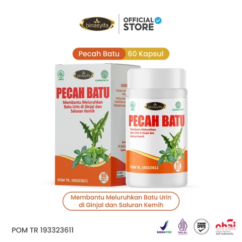 PECAH BATU Obat Batu Ginjal Sakit Pinggang Penghacur Batu Ginjal Infeksi Saluran Kemih Kencing BPOM